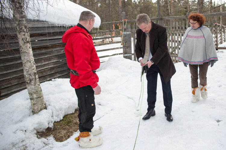 Suopunginheiton harjoittelua Ristimellan porotilalla. Kuva: Matti Porre / Tasavallan presidentin kanslia