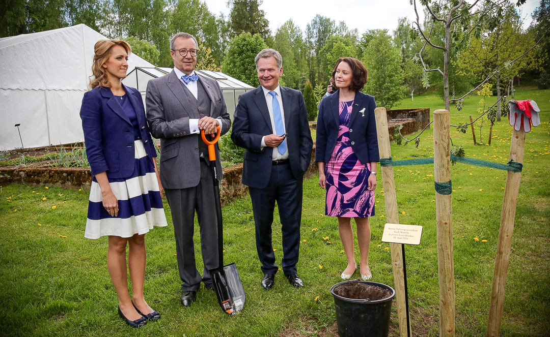 President Niinistö planted a rowan in the garden of President Ilves' family farm at Ärma. Photo: Juhani Kandell/Office of the President of the Republic