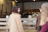  Mrs Jenni Haukio had the opportunity for a close encounter with Finnsheep at the Vanhala sheep farm in Tervola. Photo: Katja Keckman/Office of the President of the Republic of Finland 