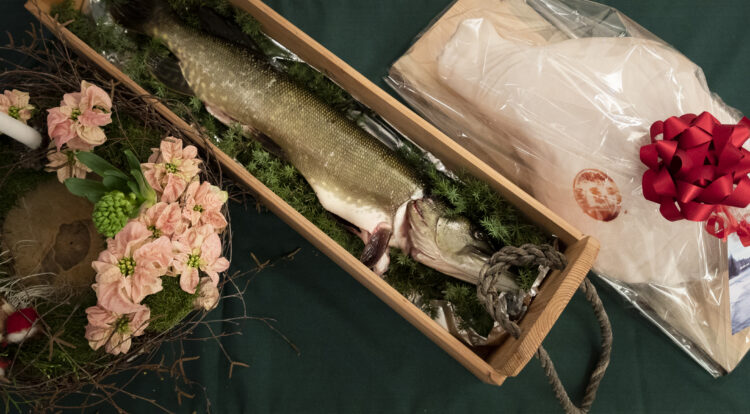 Ham, pike and flowers have traditionally been presented to the presidential couple before Christmas. Photo: Jon Norppa/Office of the President of the Republic of Finland