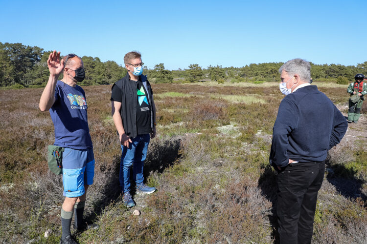 I Skärgårdshavets nationalpark på Örö gjorde sig president Niinistö förtrogen med öns natur och betesmarker tillsammans med Forststyrelsens naturtjänstdirektör Henrik Jansson och planerare Esko Tainio. Foto: Jouni Mölsä/Republikens presidents kansli