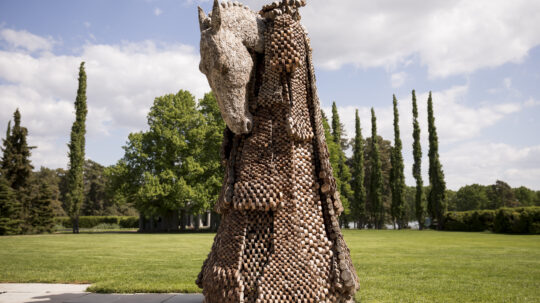 Jenni Tieaho
Night Visitor, 2012. Photo: Jon Norppa/The Office of the President of the Republic