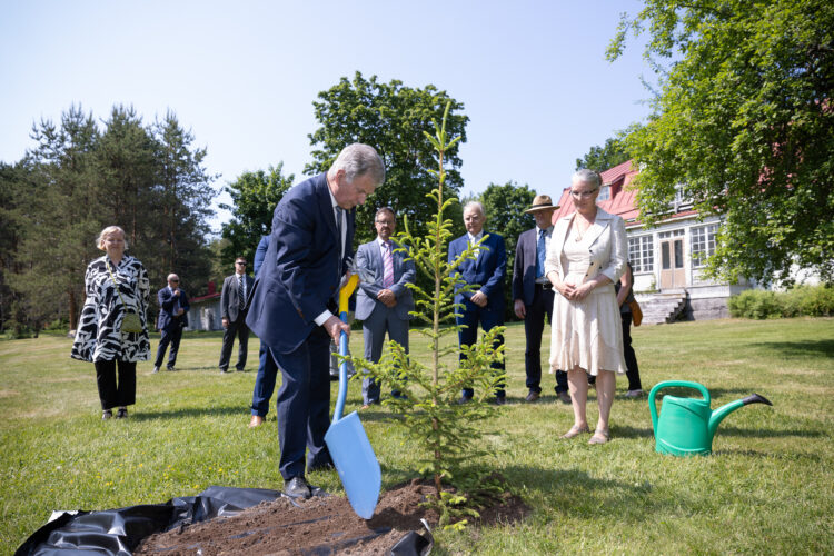 President Niinistö planterade ett eget träd i parken Rotupuisto i Naturresursinstitutets enhet för trädförädling i Haapastensyrjä i Loppi. Foto: Matti Porre/Republikens presidents kansli