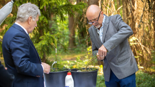 Juhani Pyykkö, Senior Research Technician at Natural Resources Institute Finland, showed how seedlings are grafted. Photo: Matti Porre/Office of the President of the Republic of Finland 