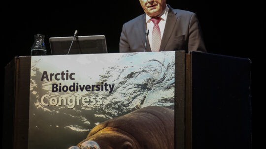 Tasavallan presidentti Sauli Niinistö puhui arktisessa biodiversiteettikongressissaa Rovaniemellä 9.10.2018
Photo: Arctic Biodiversity Congress / Mike Muzurakis