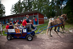            Presidentti Niinistö ohjasti puolisoa ja lapsia kuljettavia hevosvaunuja. Copyright © Tasavallan presidentin kanslia 