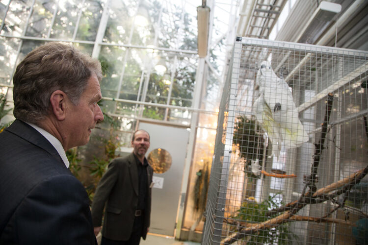  Botanian puutarhassa myös papukaija Juuso kohtasi presidentin. Copyright © Tasavallan presidentin kanslia 