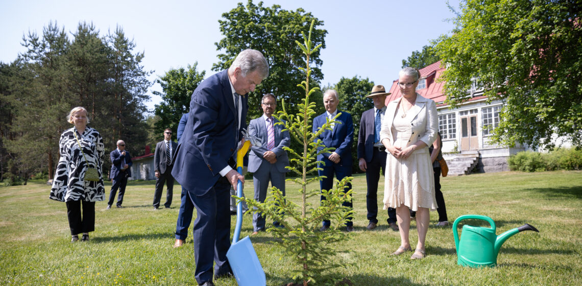 President Niinistö planterade ett eget träd i parken Rotupuisto i Naturresursinstitutets enhet för trädförädling i Haapastensyrjä i Loppi. Foto: Matti Porre/Republikens presidents kansli
